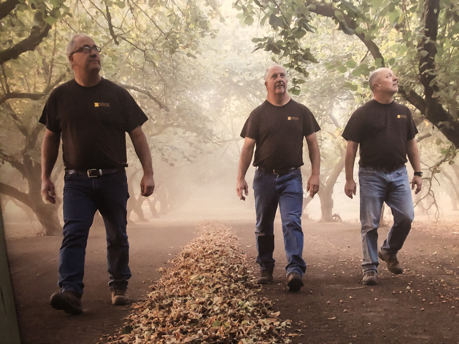 Aman Brothers walking in a hazelnut orchard