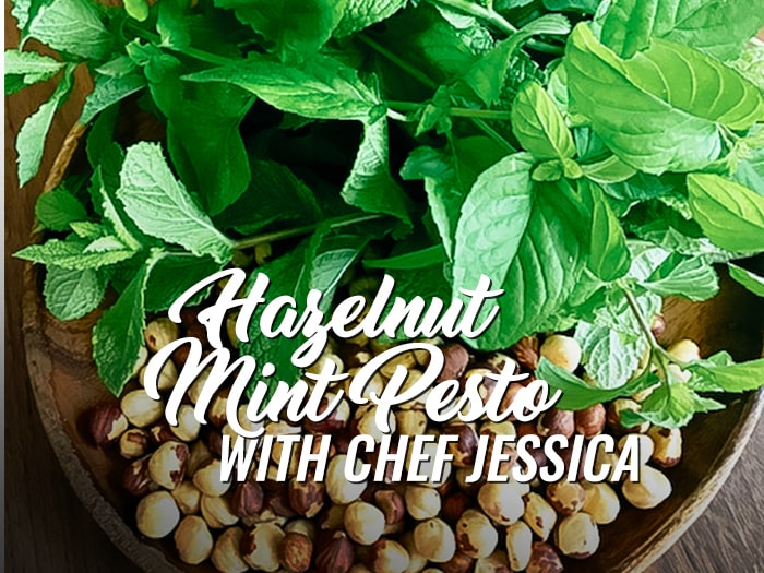Hazelnut Mint Pesto Recipe Oregon Orchard, Hazelnut Growers of Oregon