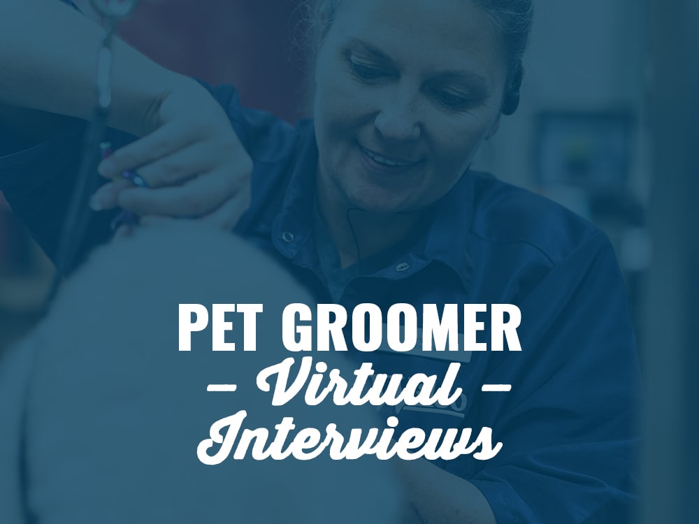 Pet Groomer Virtual InterviewsCentral Oregon Oregon Orchard