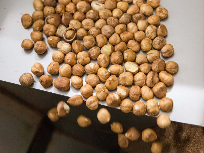 Hazelnut Processing